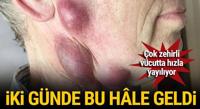 Ünlü oyuncu ev arkadaşını kılıçla öldürdü