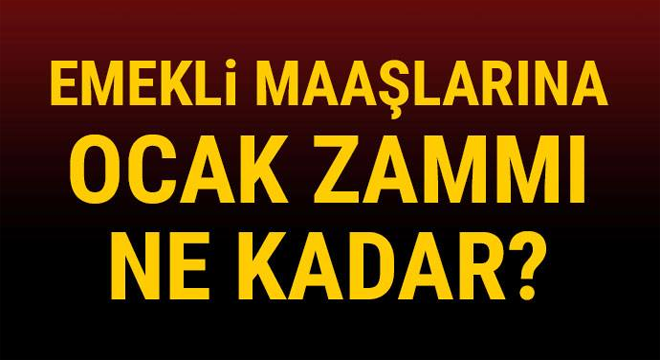 İstanbul'da yolcu dolu otobüs işyeri bahçesine uçtu
