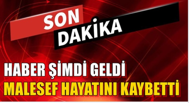 Demet Akalın'ın attığı tweet olay oldu