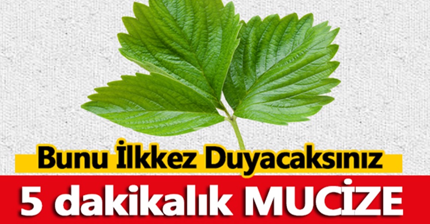 Burak Özçivit gözyaşları içinde veda etti