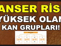 Cilde İyi Gelen Besinler