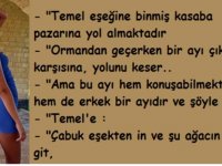 Yüz Felci Neden Olur?