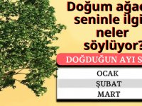 MEB TEOG kazanım testleri yayınladı