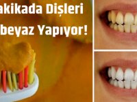 Yerli ilaç'ta testler başladı