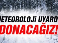 Kastamonuspor yanlışlıkla şampiyonluk turu attı