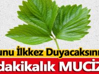 Burak Özçivit gözyaşları içinde veda etti