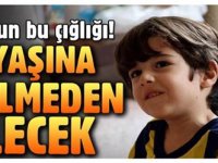 Burcunuz Saçınızı Şekillendiriyor!