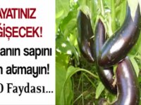 Kalp krizine bebek aspirini