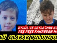 Kırkkilit Otunun Sağlığa Faydaları