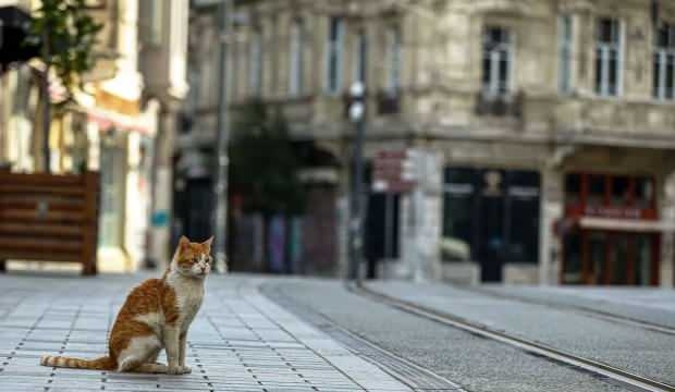 Sokağa Çıkma Yasağı Saatleri Değişiyor! galerisi resim 4