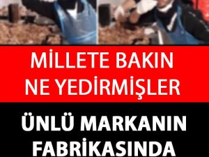 Yemek Fabrikasında Rezil Görüntü