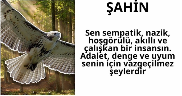 Doğduğun Ayın Kuşu Kişiliğin Hakkında Neler Söylüyor galerisi resim 9