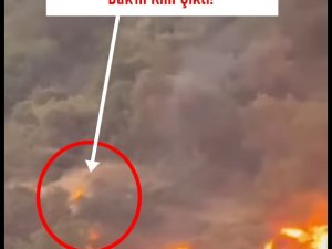 Orman Yangınları Hakkında