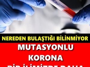 MUTASYONLU KORONA BİR İLİMİZE DAHA SIÇRADI