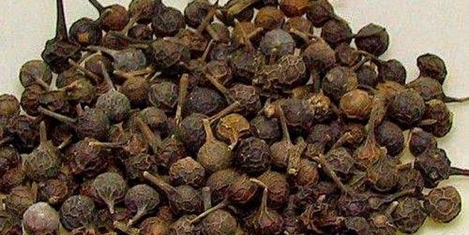 Ses kısıklığına ve ağız kokusuna çare galerisi resim 2