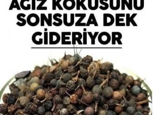 Ses kısıklığına ve ağız kokusuna çare