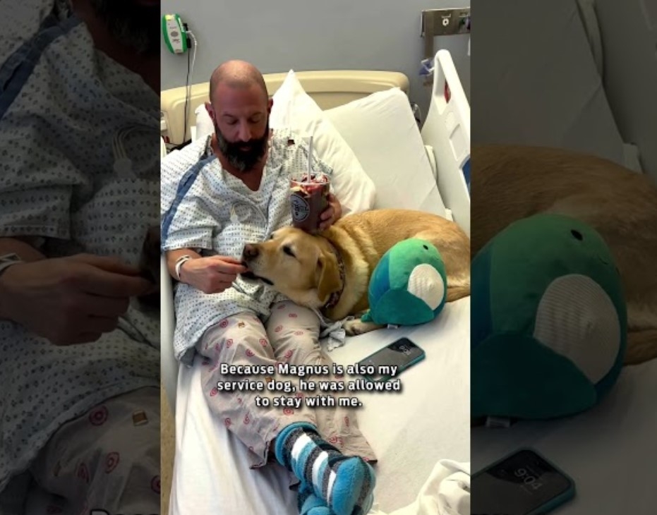 Köpeği sahibine veda etmek için getirdiler galerisi resim 3