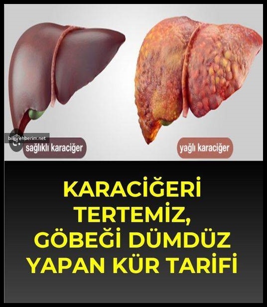 İnsan vücudunda karaciğerin 500'e yakın görevi galerisi resim 1