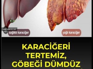İnsan vücudunda karaciğerin 500'e yakın görevi