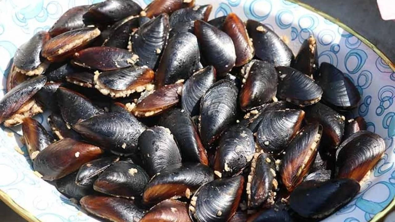 Bir aile bu yüzden hayattan kopmuş galerisi resim 4