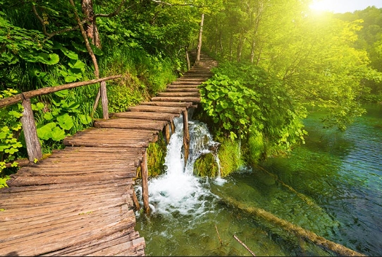 Kimse beni sevmedi, eşim bile beni sevmedi, galerisi resim 1