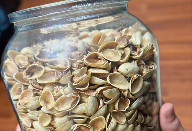 Antep Fıstığı Kabuklarının Gizli Gücü galerisi resim 2