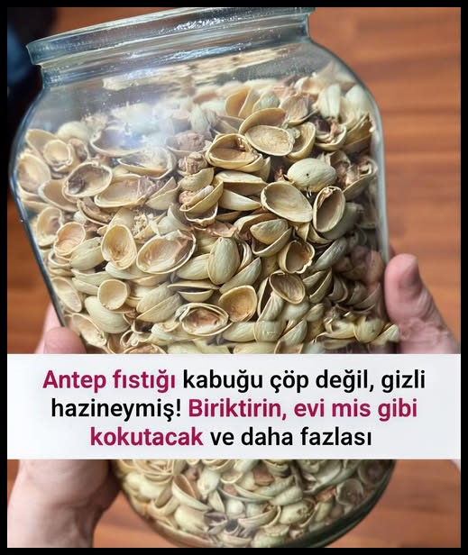 Antep Fıstığı Kabuklarının Gizli Gücü