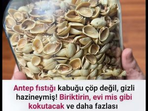 Antep Fıstığı Kabuklarının Gizli Gücü