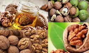 Doktorlar ceviz yemenin neden olduğunu açıkladı.. galerisi resim 3