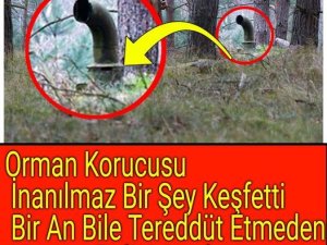 Orman Korucusu İnanılmaz Bir Şey Keşfetti