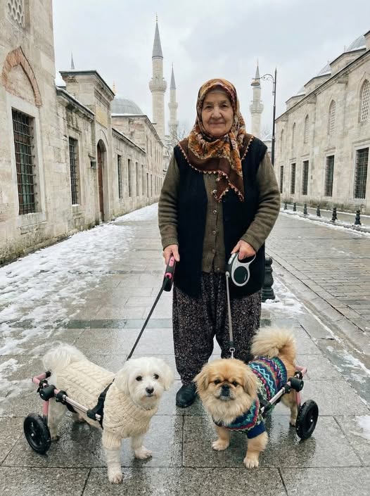 Komşum kurtardığım köpeklerime iğrenç dedi ve onlardan kurtulmamı söyled