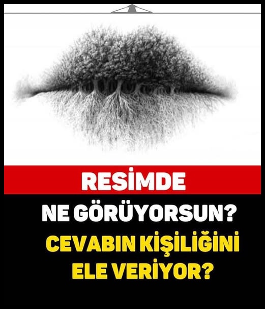 RESİMDE GÖRDÜĞÜN, KİŞİLİĞİNİ ELE VERİYOR..