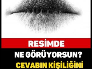RESİMDE GÖRDÜĞÜN, KİŞİLİĞİNİ ELE VERİYOR..