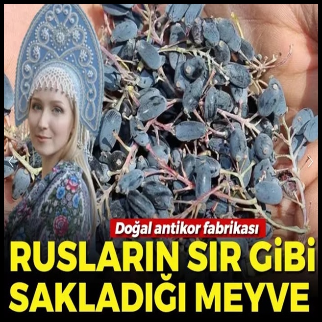 Doğal antikor fabrikası