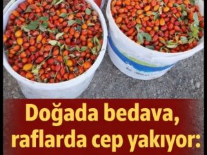 İşte Anadolu'nun unutulan nimeti