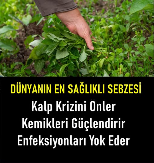 Dünyanın en sağlıklı bitkisi