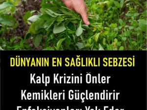 Dünyanın en sağlıklı bitkisi
