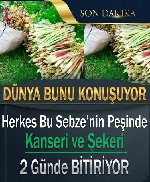 Türkiye de üretilmeye başladı.