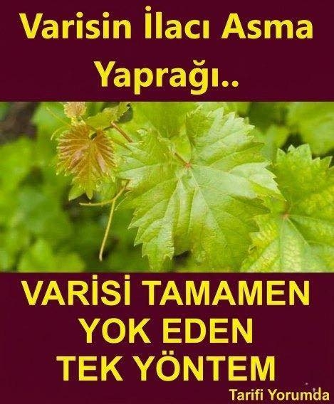 Varisi Tamamen Yok Ediyor galerisi resim 1