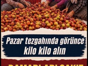 Damarları sakız gibi esnetiyor