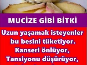 K'anseri önlüyor, tansiyonu düşürüyor