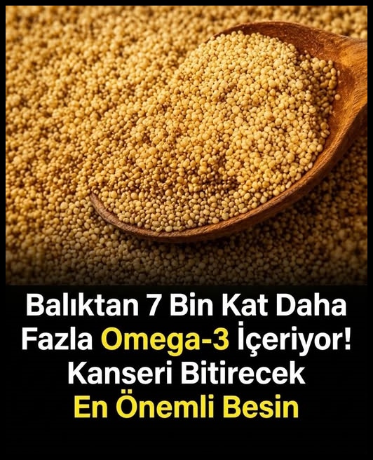 7 bin kat daha fazla omega3 içeriyor!