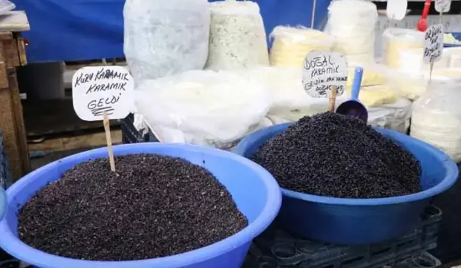 Sivas’ın Yüksek Dağlarında Yılda Sadece 1 Ay Yetişiyor galerisi resim 2