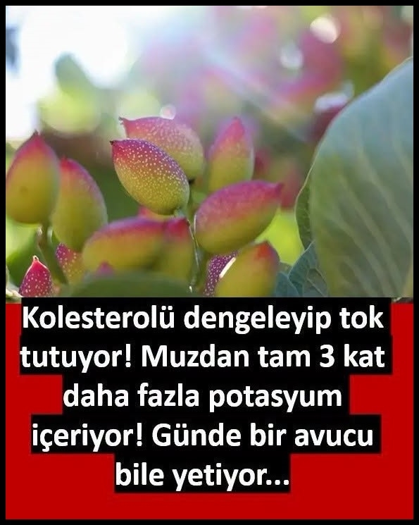 Potasyum deposu denilince akla gelen ilk meyveyi tahtından eden o küçük galerisi resim 1