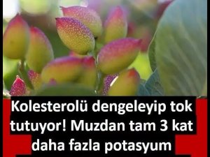 Potasyum deposu denilince akla gelen ilk meyveyi tahtından eden o küçük 