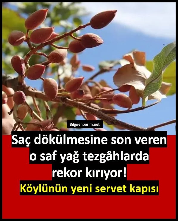 Saç dökülmesine son veren doğal yağ