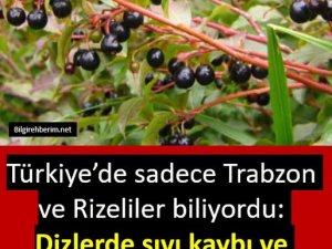 Dizlerde sıvı kaybı ve kireçlenmeye son