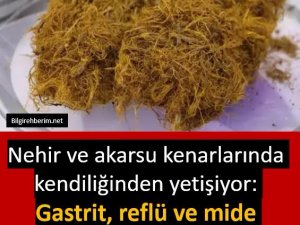 Gastrit, reflü ve mide ülserini bıçak gibi kesiyor
