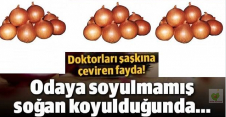 Doktorları Şaşkına Çeviren Fayda - Oturma Odasına Soğan Koyunca galerisi resim 1