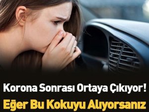 Yeni Bir Araştırma Ortaya Çıktı!